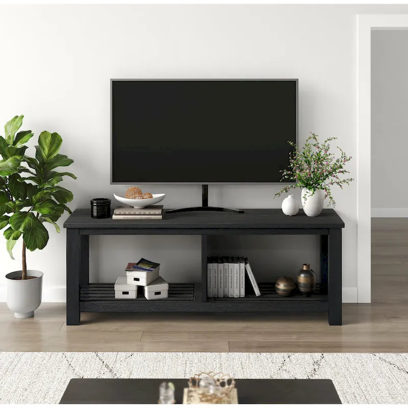 Mobile TV